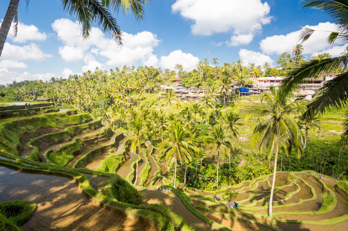 Bali photography
