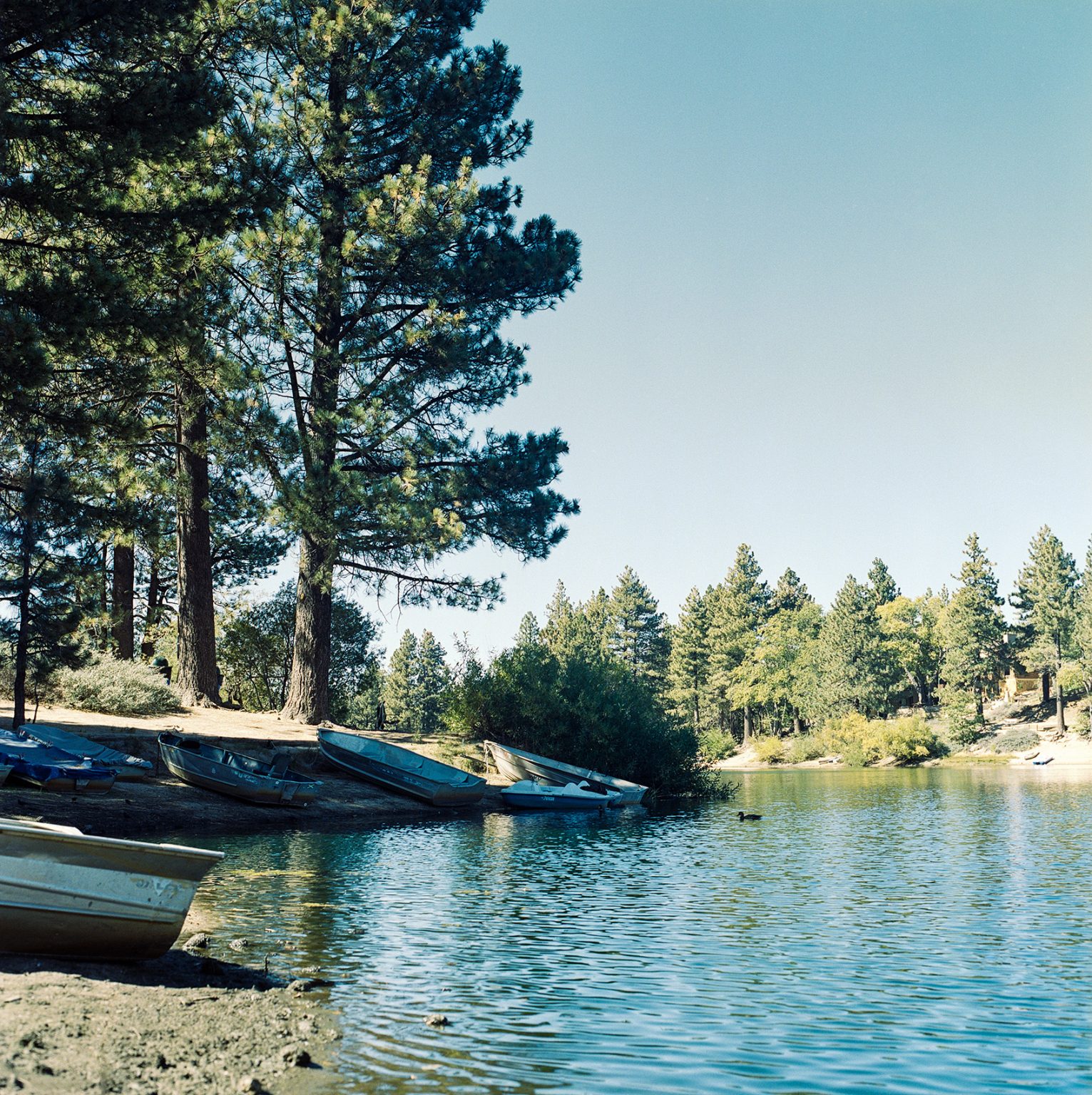 Location Green Valley Lake Ca Photo Basecamp