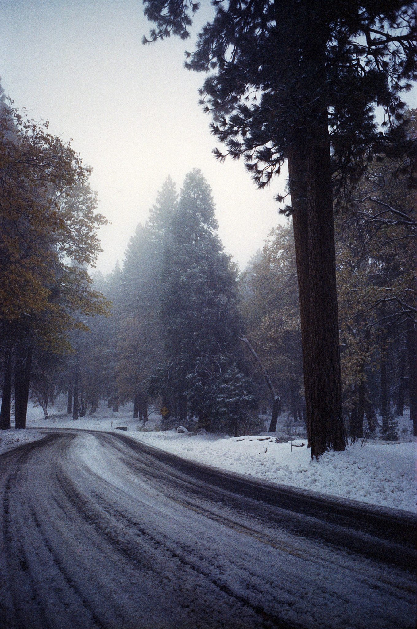 CINESTILL 800T – FILM REVIEW - Photo Basecamp