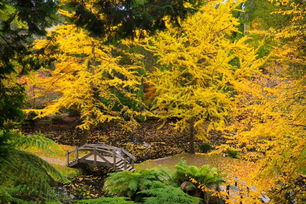Alfred Nicholas Memorial Gardens