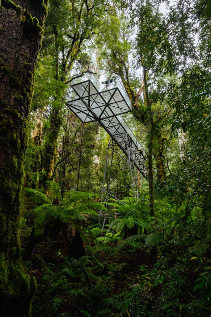 Rainforest Gallery Warburton in Victoria Australia