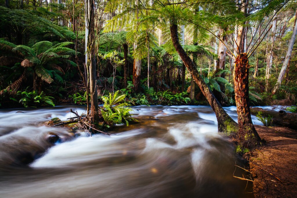Cement Creek River Flowing in Australia