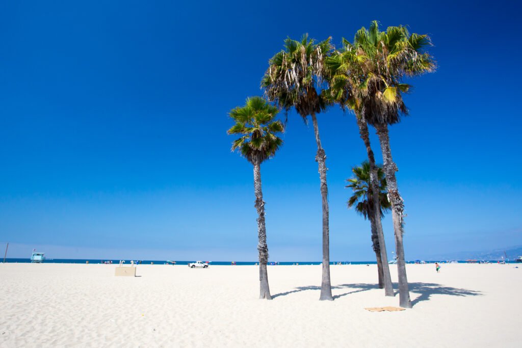Santa Monica Beach Scene
