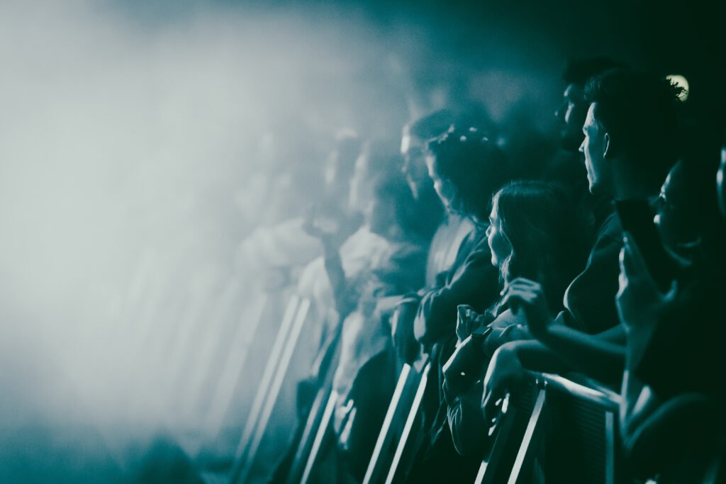 Music crowd at a concert in Australia