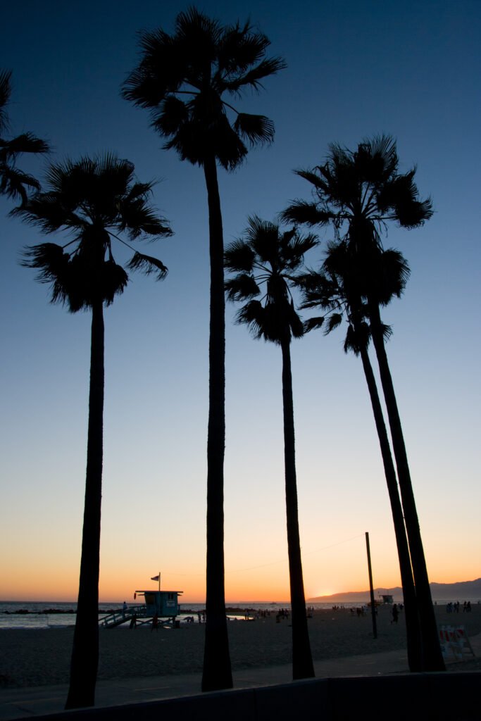 Venice Beach Sunset