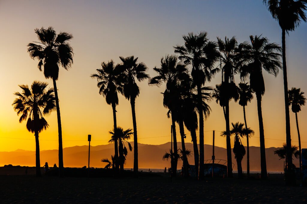 Venice Beach Sunset