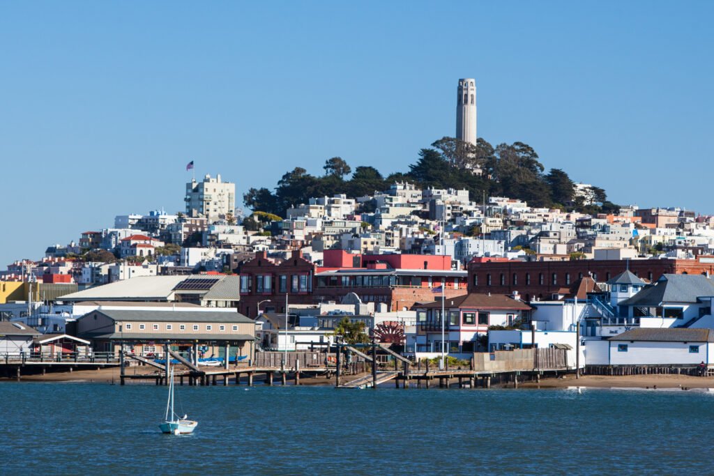 Sam Francisco Skyline