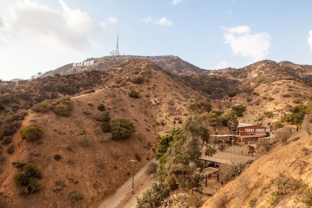 Hollywood Hills