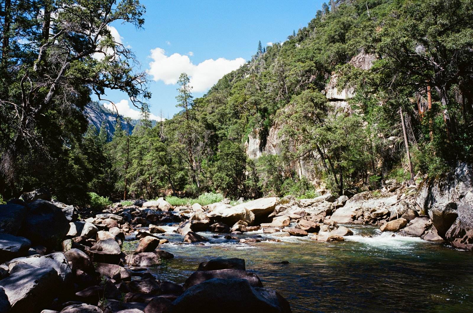 Wild rocky mountain river flows through Yosemite National Park canyon on Ektar film. Wild rocky mountain river flows through Yosemite National Park canyon on Ektar film.