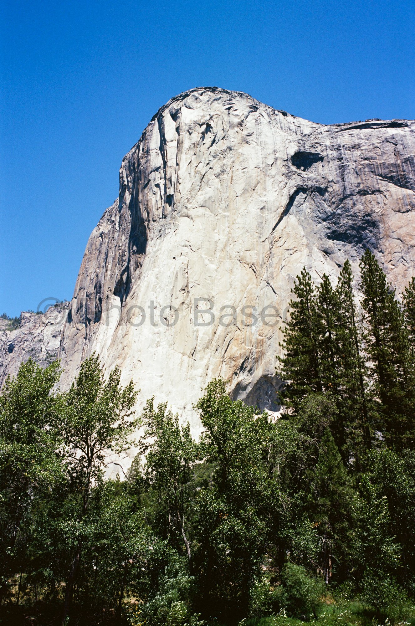 El Capitan granite rock formation and trees in Yosemite National Park, California El Capitan granite rock formation and trees in Yosemite National Park, California