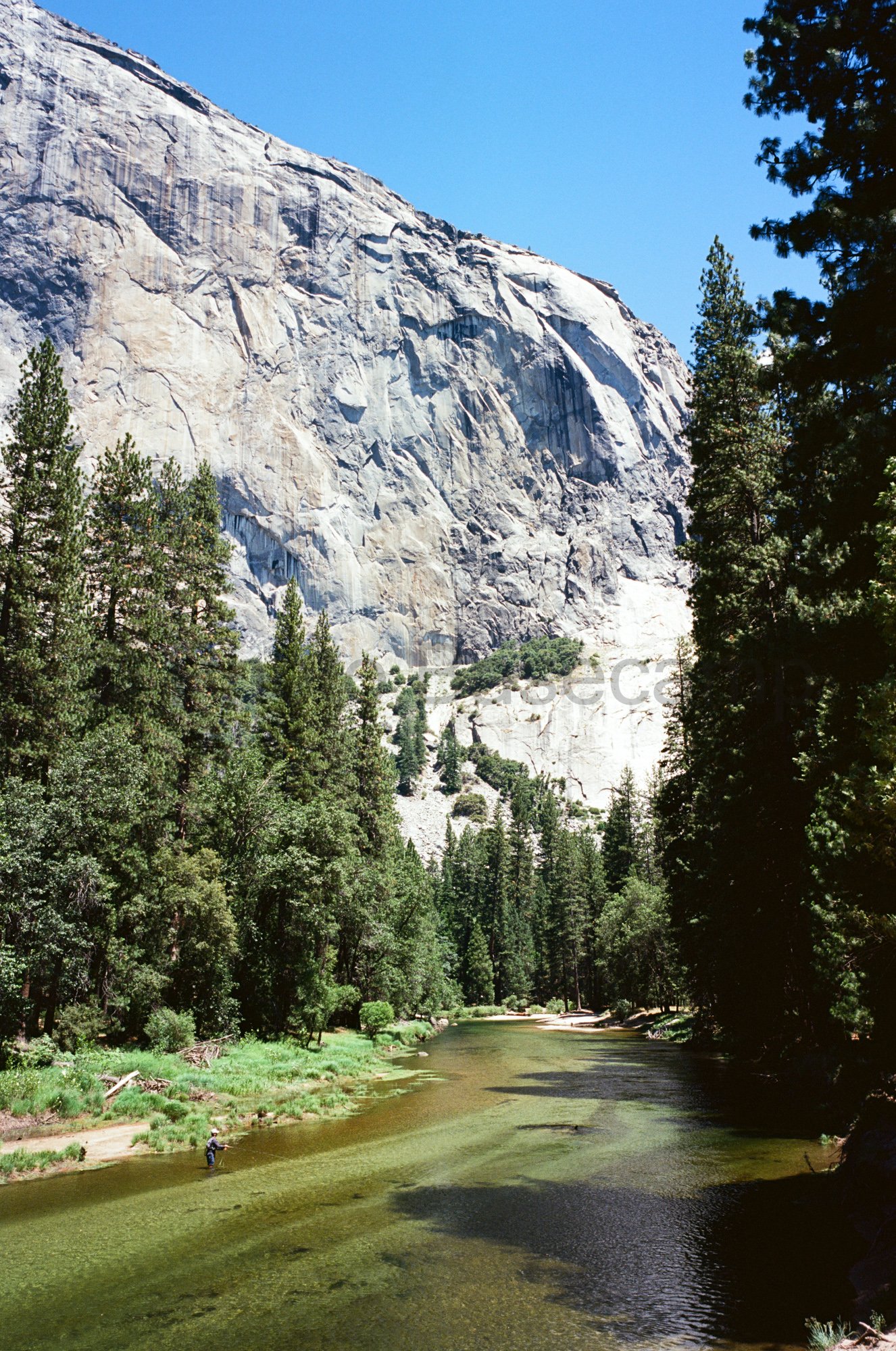 Angler fishing in the Merced River with Half Dome granite cliff in Yosemite National Park, shot on film. Angler fishing in the Merced River with Half Dome granite cliff in Yosemite National Park, shot on film.