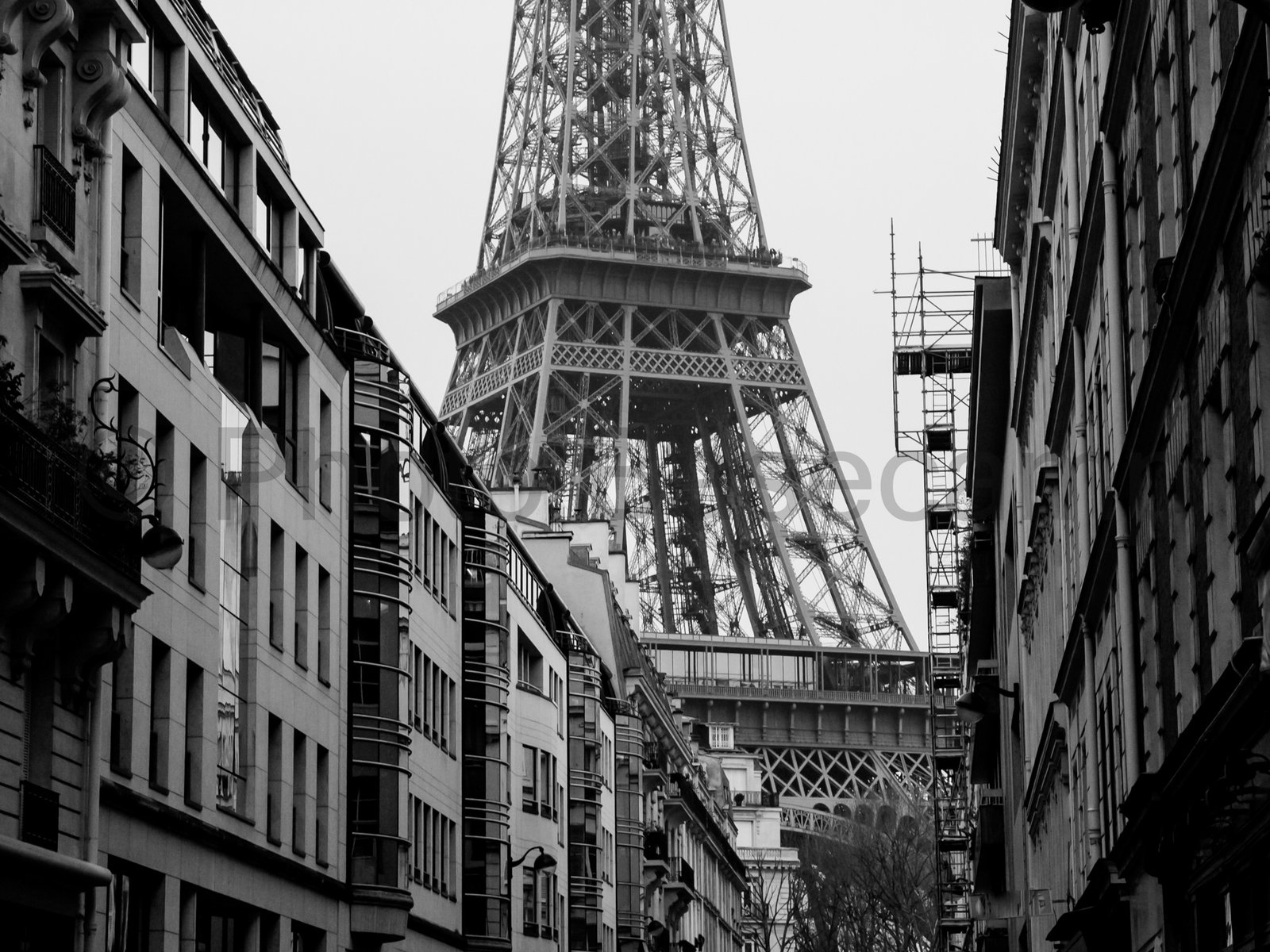 View toward the Eiffel Tower in France View toward the Eiffel Tower in France