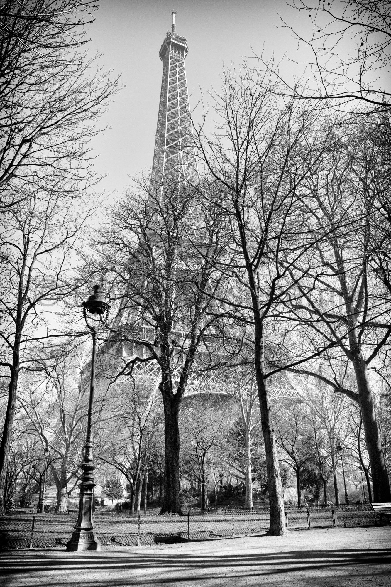 The Iconic Eiffel Tower in France The Iconic Eiffel Tower in France